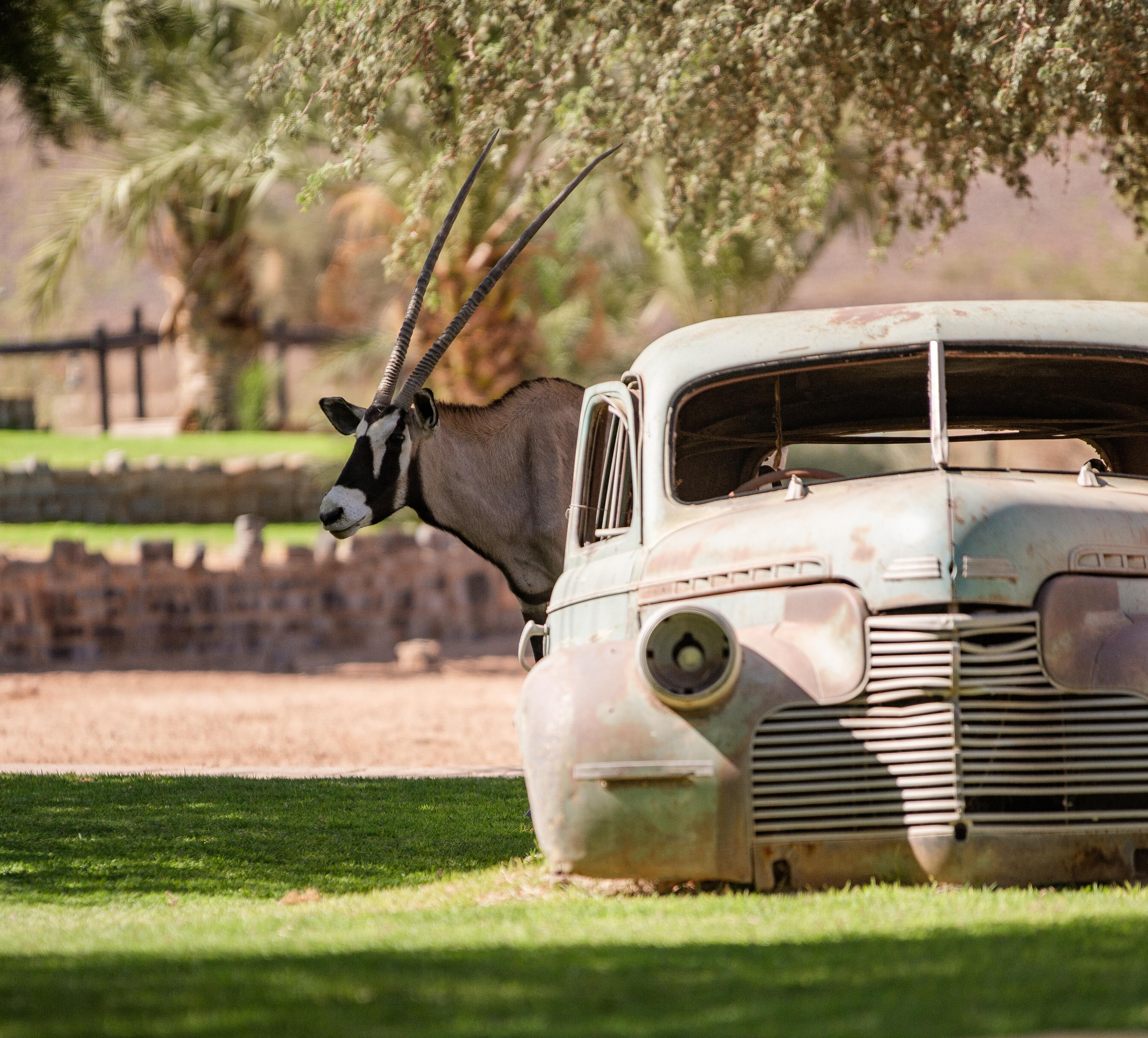 Canyon Roadhouse Fish River Canyon Exterior foto